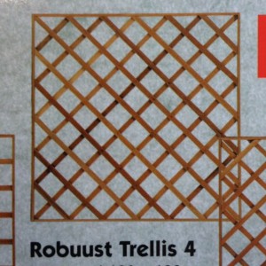 Trellis - robuust 4